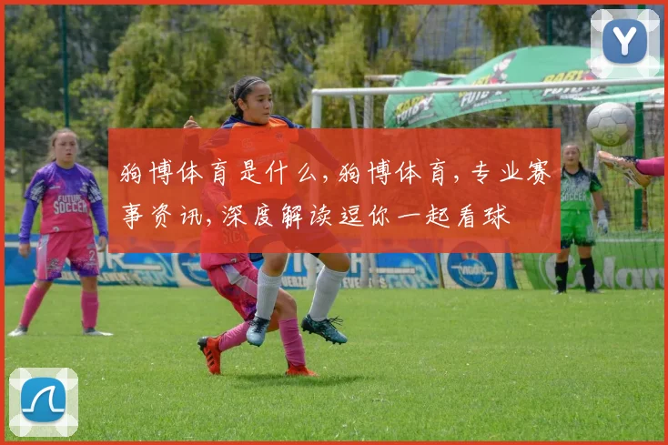 狗博体育是什么,狗博体育,专业赛事资讯,深度解读逗你一起看球