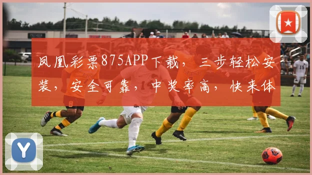 凤凰彩票875APP下载，三步轻松安装，安全可靠，中奖率高，快来体验